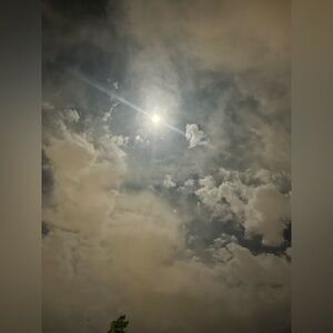 Meet your Posher, Sullivan.